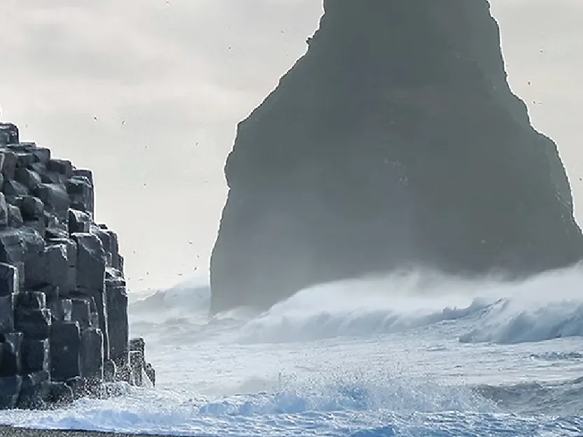 Skógafoss & Reynisfjara
