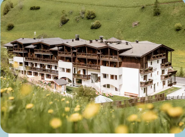 HOTEL ALMINA